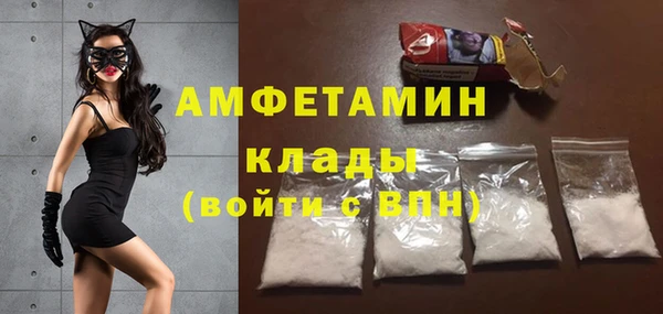 дурь Пестово