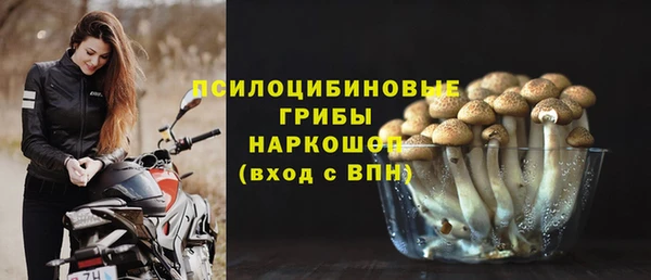 ГАЛЛЮЦИНОГЕННЫЕ ГРИБЫ Покров