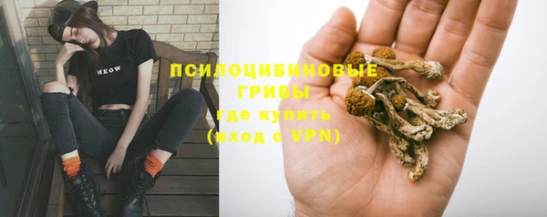 прущие крисы Покровск