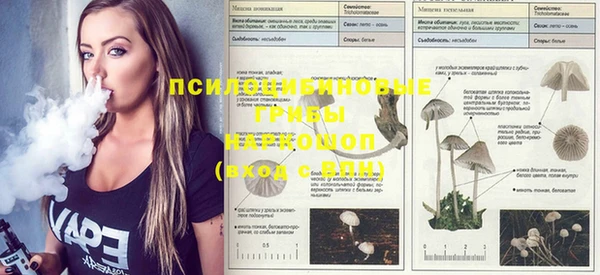 ГАЛЛЮЦИНОГЕННЫЕ ГРИБЫ Покров