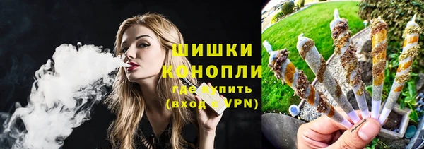 ГАЛЛЮЦИНОГЕННЫЕ ГРИБЫ Покров