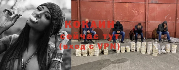 прущая мука Пересвет