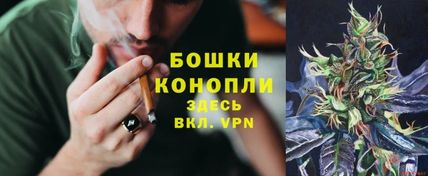 каннабис Покачи