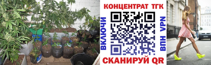 купить наркоту  Шимановск  ТГК концентрат 